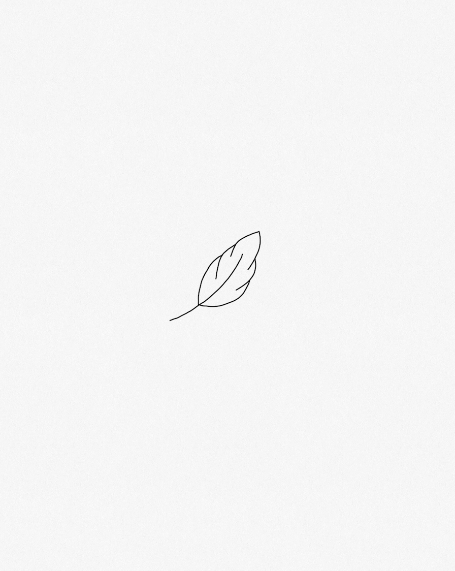 Minimal leaf icon representing the softness of natural cashmere fibers.